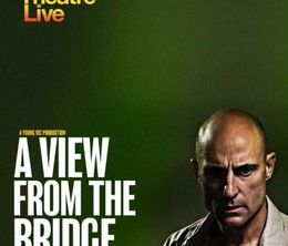 image-https://media.senscritique.com/media/000020098017/0/national_theatre_live_a_view_from_the_bridge.jpg