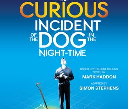 image-https://media.senscritique.com/media/000020098131/0/national_theatre_live_the_curious_incident_of_the_dog_in_the_night_time.jpg