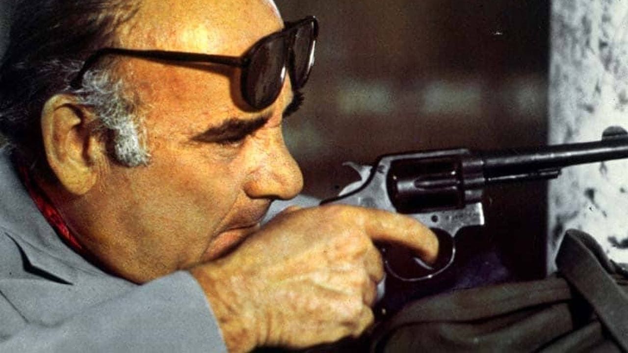 Mister Scarface - Film (1976) - SensCritique