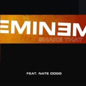Shake That (Promo Only clean edit)