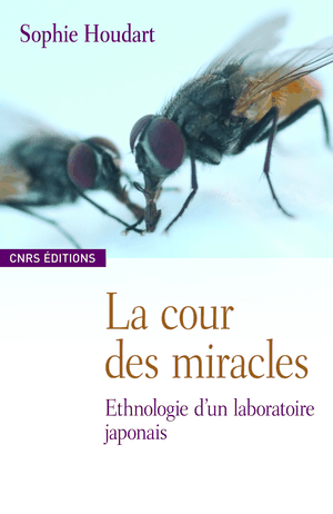 La Cour des miracles