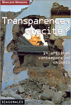 Transparence, opacité ?