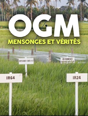 OGM, mensonges et vérités