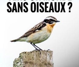 image-https://media.senscritique.com/media/000020107323/0/vers_un_monde_sans_oiseaux.jpg