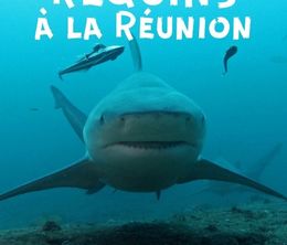 image-https://media.senscritique.com/media/000020108614/0/attaques_de_requins_a_la_reunion.jpg