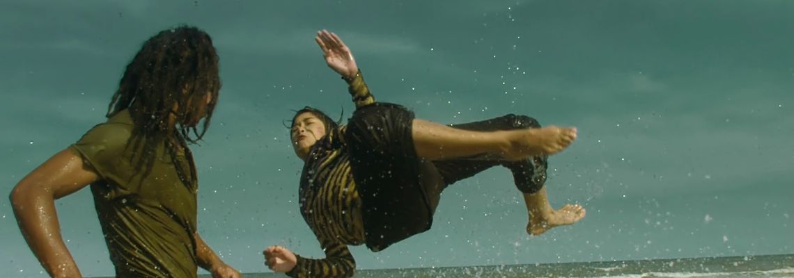 Cover Raging Phoenix