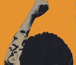 image-https://media.senscritique.com/media/000020111791/0/angela_davis_portrait_of_a_revolutionary.jpg