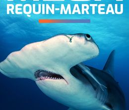 image-https://media.senscritique.com/media/000020112106/0/mega_requin_marteau.jpg