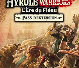 image-https://media.senscritique.com/media/000020112440/0/Hyrule_Warriors_L_Ere_du_Fleau_Pulsations_Antiques.jpg