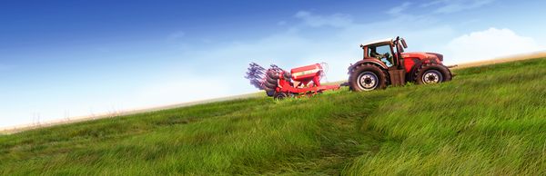 Real Farm