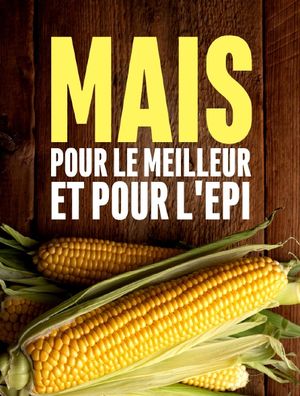 Maïs, pour le meilleur et pour l'épi