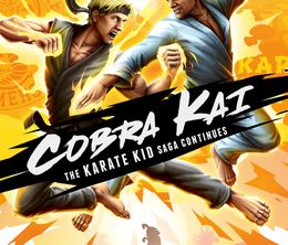 image-https://media.senscritique.com/media/000020114529/0/cobra_kai_the_karate_kid_saga_continues.jpg