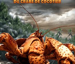 image-https://media.senscritique.com/media/000020114654/0/le_royaume_du_crabe_de_cocotier.jpg