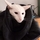 Avatar Eric BBYoda