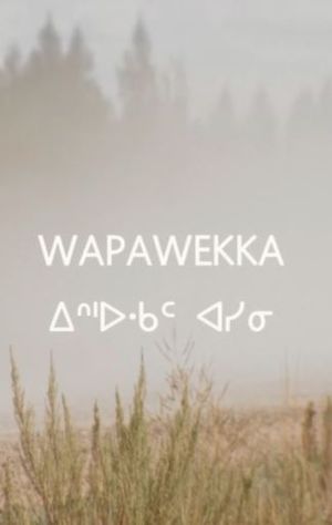 Wapawekka