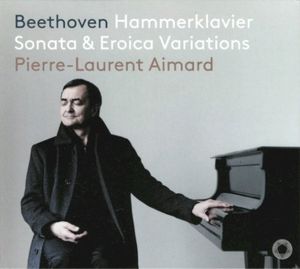 Piano Sonata No. 29 in B-flat Major, Opus 106, "Hammerklavier": IV. Largo - Allegro rissoluto