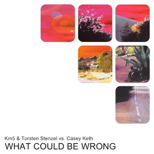 What Could Be Wrong (Single)