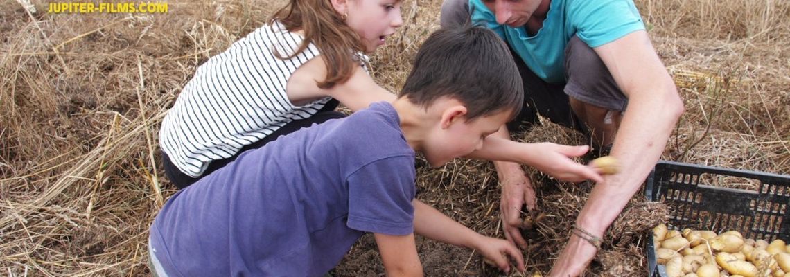 Cover Les Mains dans la terre - Naissance d'un écovillage