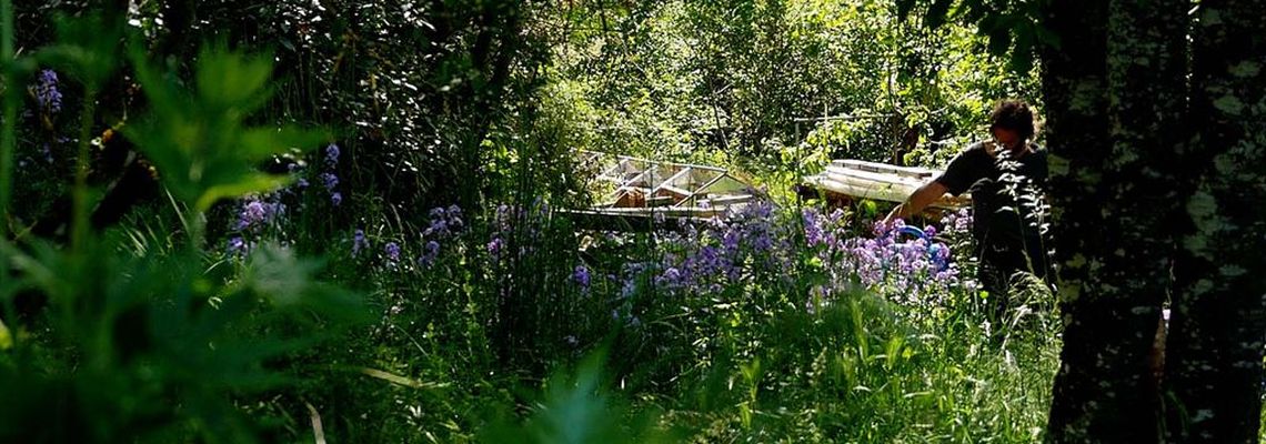 Cover Permaculture en France - Un art de vivre pour demain