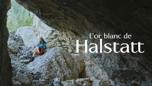 L'or blanc de Hallstatt : Un trésor de la Préhistoire