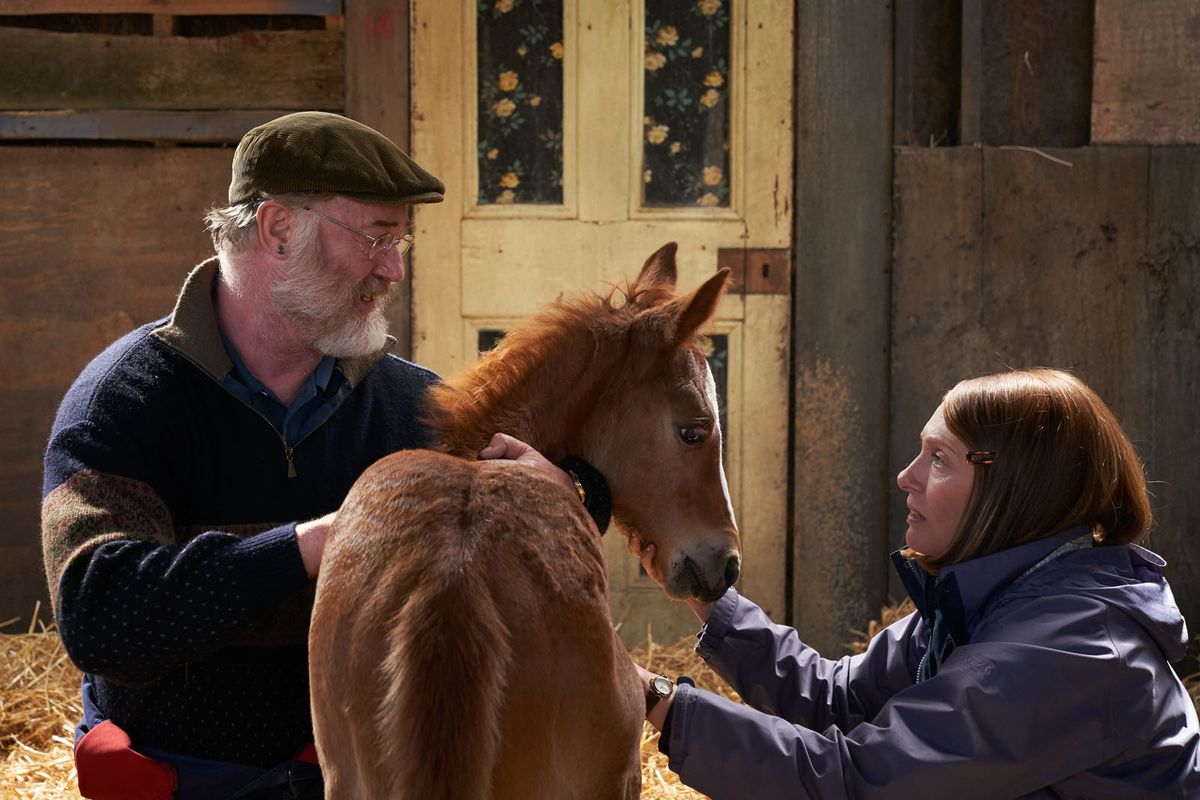 Dream Horse Bande Annonce Vf Dream Horse - Film (2020) - SensCritique