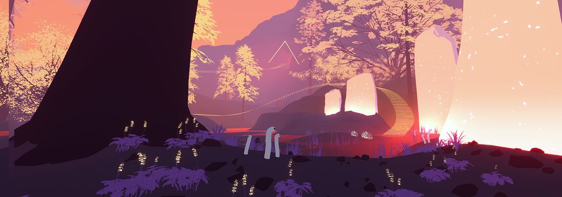 Cover Shape of the World