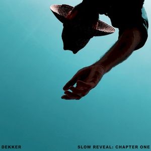 Slow Reveal: Chapter One