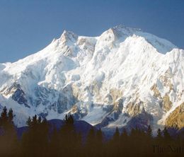 image-https://media.senscritique.com/media/000020145777/0/tragedie_sur_le_nanga_parbat.jpg