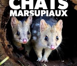 image-https://media.senscritique.com/media/000020147582/0/la_ferme_des_chats_marsupiaux_un_refuge_en_tasmanie.jpg