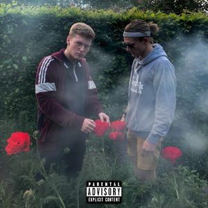 Kolibri (Single)