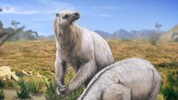 Did These Giant Sloths Poop Themselves to Death?