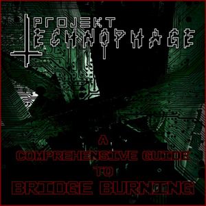 A Comprehensive Guide to Bridge Burning