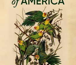 image-https://media.senscritique.com/media/000020154353/0/birds_of_america.jpg
