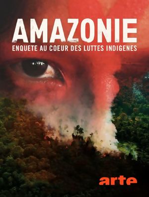 Amazonie - Enquête au cœur des luttes indigènes
