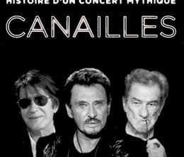 image-https://media.senscritique.com/media/000020154799/0/les_vieilles_canailles_histoire_dun_concert_mythique.jpg