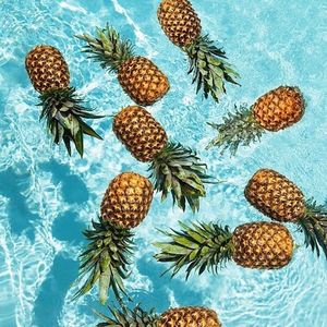 Pineapple Pool Party (Sango Taught Me) (Single)