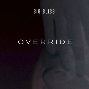 Override (Single)