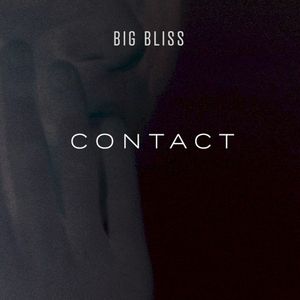 Contact (Single)