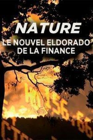 Nature, le nouvel Eldorado de la finance