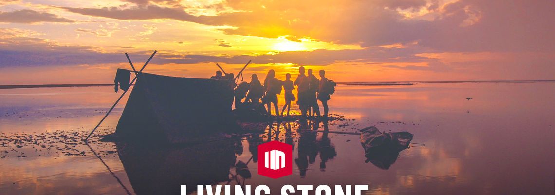 Cover Living Stone