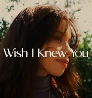 Wish I Knew You