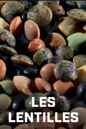 Les lentilles : le remède à la faim dans le monde