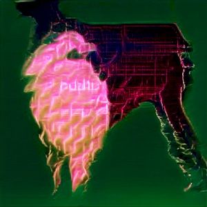 Going Public — PBLX