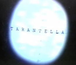 image-https://media.senscritique.com/media/000020162603/0/tarantella.jpg