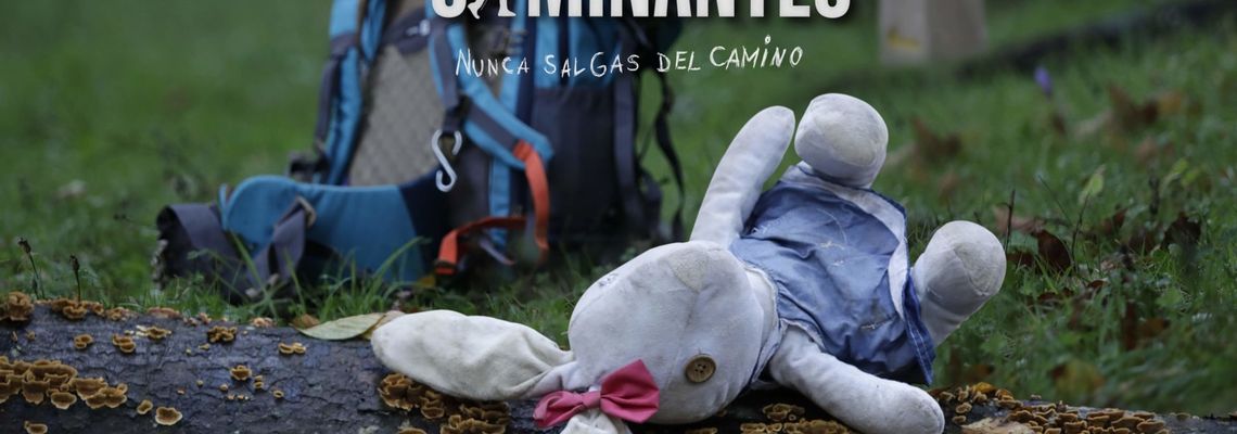 Cover Caminantes