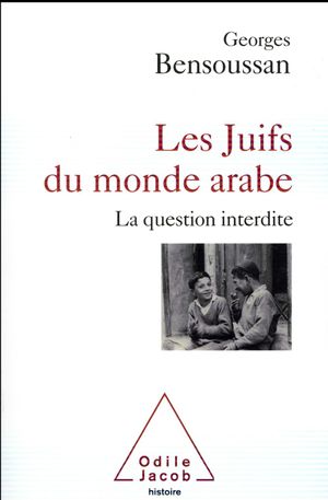 Les Juifs du monde arabe