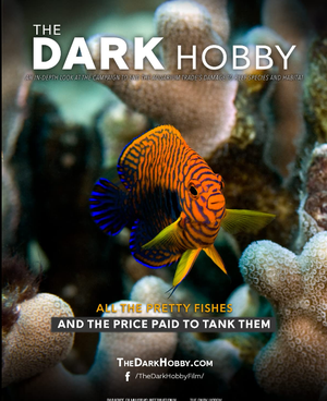 The Dark Hobby