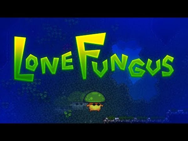 Lone Fungus