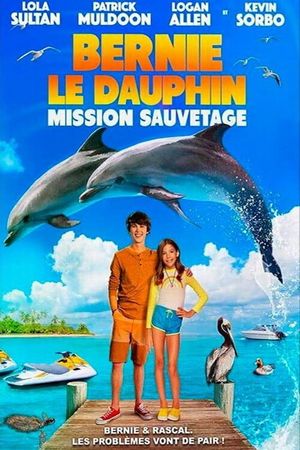 Bernie le dauphin: Mission sauvetage