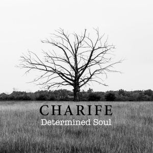 Determined Soul (Single)